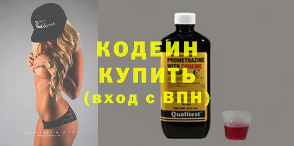 шишки Аркадак
