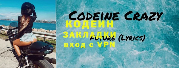 шишки Аркадак