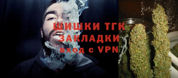 шишки Аркадак
