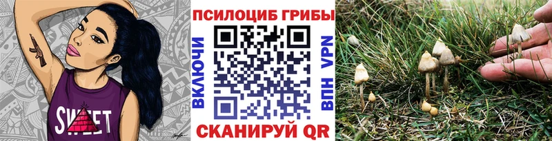 Псилоцибиновые грибы Magic Shrooms  Купить где  Нижнеудинск 